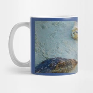 Smiling seals Mug